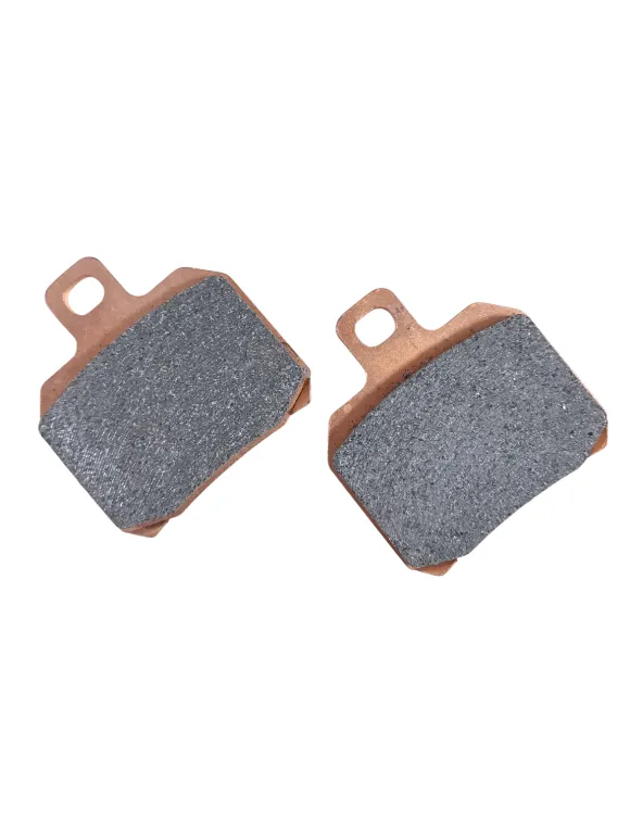 Coppia Pastiglie Freno Posteriore OEM Ducati | 61341891A